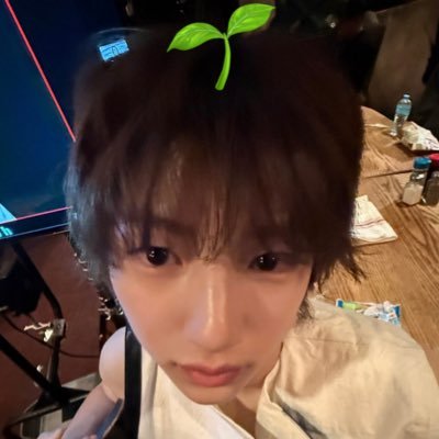 badtznamu_'s profile picture. #방탄소년단⁷ x #피원하모니⁺¹ x #코르티스 ᶜᵒᵉʳ