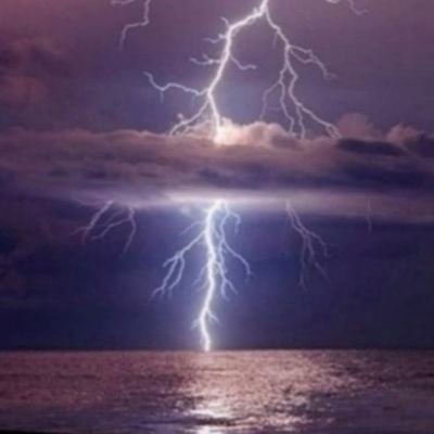 baroza_zagarino's profile picture. 