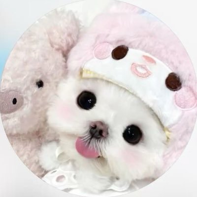 lvrks0nly's profile picture. いつか2人で笑い話に出来る日がきっと来るはず👦🏻🍒︎✩