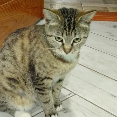 Romanbnb147878's profile picture. 