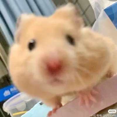 greenspring_'s profile picture. 