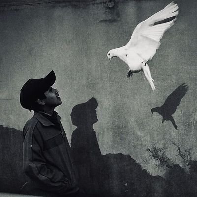 lait_2i's profile picture. تفاؤلك معدٍ وإصرارك ملهم. استمر في نشر هذا النور، فمن يملك روحًا مثلك لا يمكن أن يوقفه شيء. كل التوفيق يرافق خطواتك