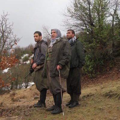 Robino428477's profile picture. 