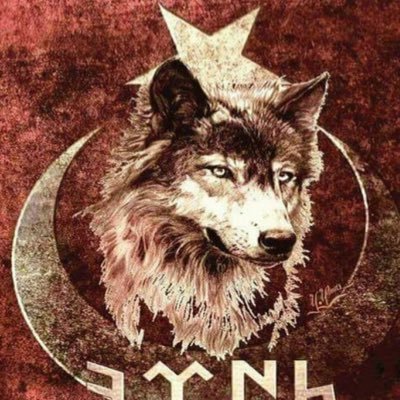 Samsun_55HKN's profile picture. 