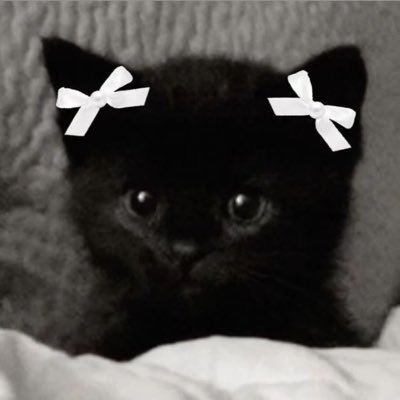 falserealitxy's profile picture. 19 | xy is a curse | MDNI