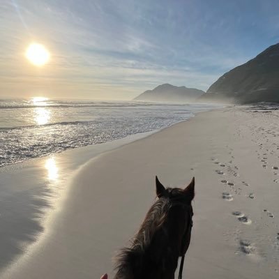 Raniibra's profile picture. An optimistic Doctor of Physical Therapy intern