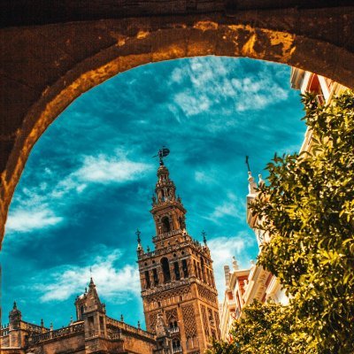 memenariox's profile picture. Love meme coins