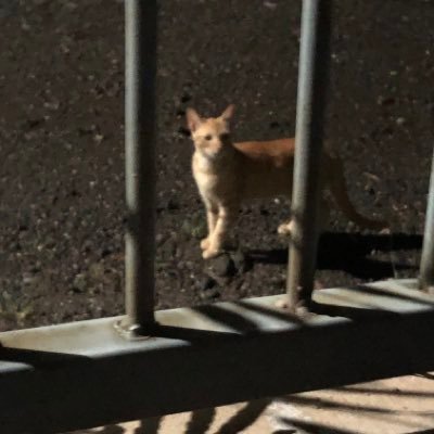 fabian_agu51428's profile picture. 