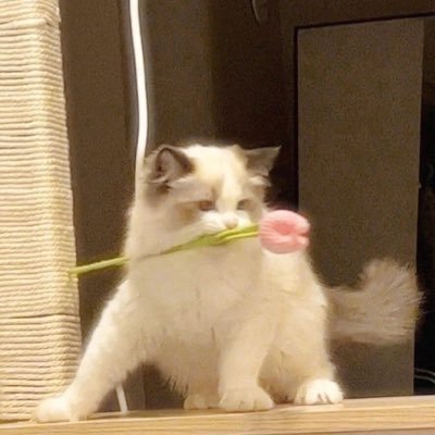 y_1iiu's profile picture. فترة وتعدي ي قميل..