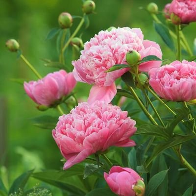 Plashius's profile picture. Mtf, 30, 5'11, lefthanded