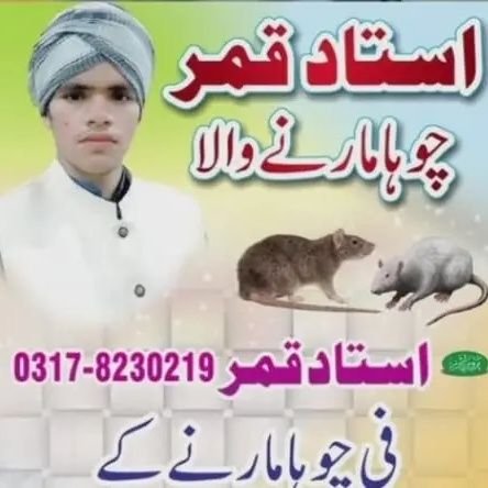 AstadQmr92854's profile picture. 