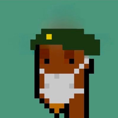 verchi_sol's profile picture. based mfer 🪖 | contributor @onchainbrett | @nuketownfnf☢️ | #TangGang 🍊