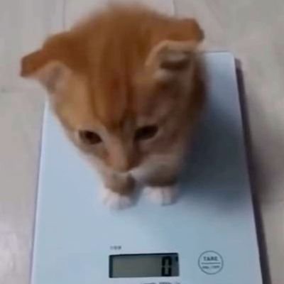 iPaquito7610's profile picture. Cómo 0PaquitoUwU, o Paco7610, soy alguien que namás mira puras tontería en el Twitter xd