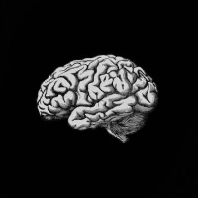 LY_0004's profile picture. Student at @FCITKAU