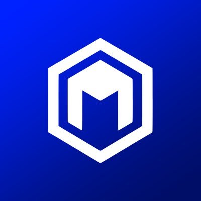 theMetabIes's profile picture. game developer