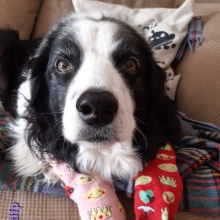 @MillieOTLFP
