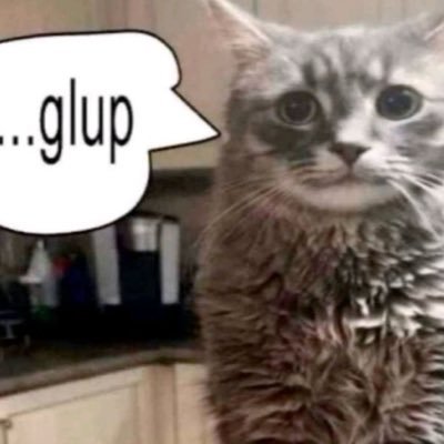 zehra_jpg's profile picture. FROM THE RIVER TO THE SEA PALESTINE WILL BE FREE 🇵🇸