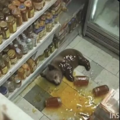 _Deputy_Dawg_'s profile picture. 🌲Old Stock
🌲🏴󠁧󠁢󠁳󠁣󠁴󠁿🏴󠁧󠁢󠁷󠁬󠁳󠁿