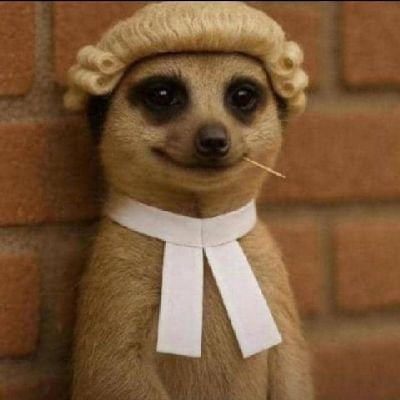 Kvrofred's profile picture. Abracadabra the less you see📷