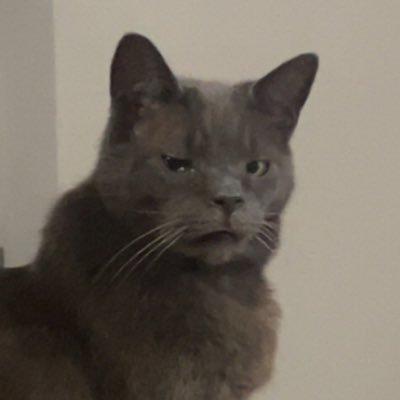 WSillyLittleGuy's profile picture. Canadian Artist