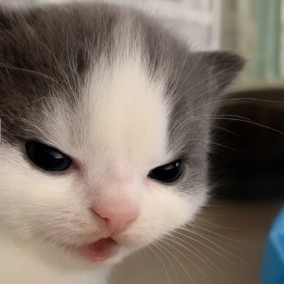 Rallths's profile picture. Estudante de Designer e tal
Apreciador de besteiras.