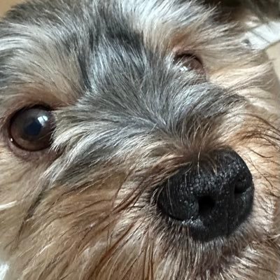 1s3xnk's profile picture. Crack down on tenant scammers and protect real, rightful tenants