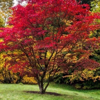 TravellerAsset's profile picture. Full Time Investor & Trader. Twitter is for my enjoyment and learning. Gratitude maximalist.