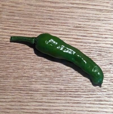 totutotudojin's profile picture. 月光堂楽器店主
仏教学（三論宗、真言宗）博士課程
（一社）エア寺理事 勧学院担当

リュート好きの真言行者です。
もっぱら仏教と歴史についてつぶやいてます。