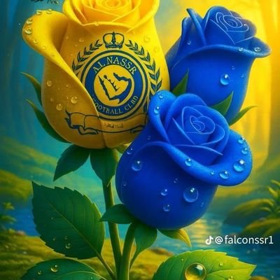 ghrwr58037's profile picture. احب النصر احبه محد يفهم حبي الا النصراويين بس،💛💛💛💛💲💲💲