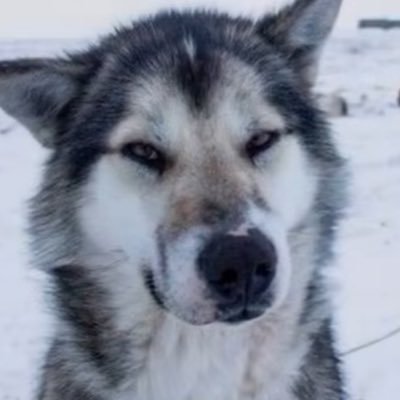 databru's profile picture. 24yo | software engineer | data analyst