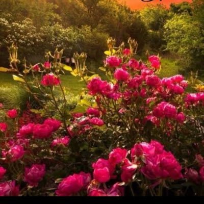 GhazalNaz9730's profile picture. #TejRan fan