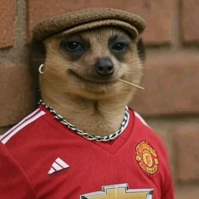 MUFC_Gima's profile picture. #MUFC ๐ซถ๐ป | just cruising around European football!!โฝ๏ธโฝ๏ธ