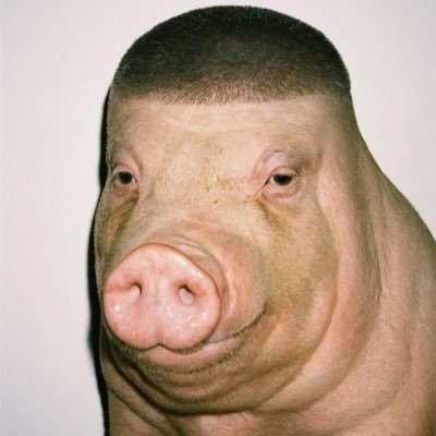 djzisme's profile picture. Here to annoy