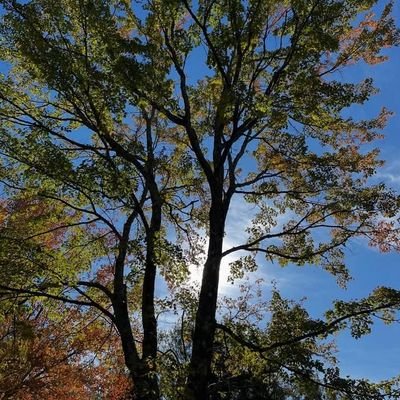 jenny31545's profile picture.
