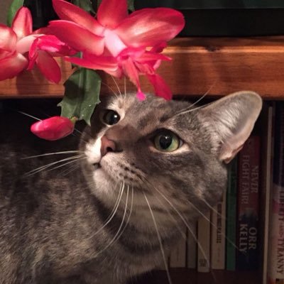 reenfenz's profile picture. الحمدلله