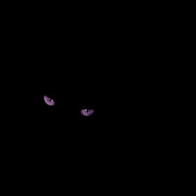 fredkayy101's profile picture.