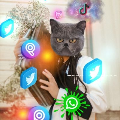 🐣 (╯︵╰,) Profile