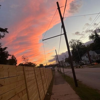 Harper390173116's profile picture. 🎶