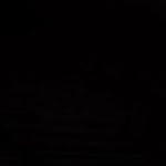 ScavengerOwl's profile picture. 