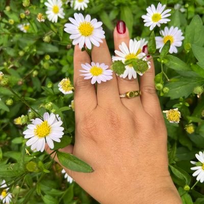 BiggerTrex's profile picture. ❌ไม่รับงาน | Chubby | 35 years old | ❌No ONS | ❌No Swing | นัดเฉพาะคนที่มีความสามารถในการซัพพอตได้เท่านั้น | กรุงเทพฯ - นนทบุรี | เปย์กาแฟ = ตอบ DM