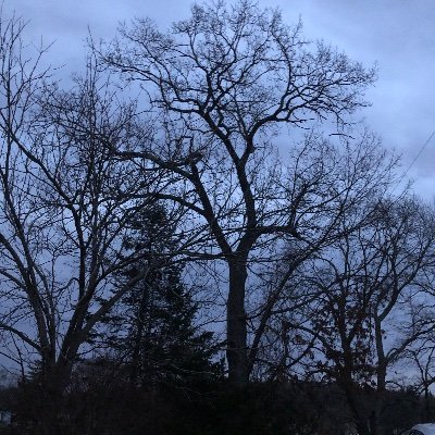 ThebestBrian's profile picture. #creativity studied creativity since 1981 working on the newest “unknown” methods for generating ideas   WLM  "creation  is before implementation" NO DM’s
