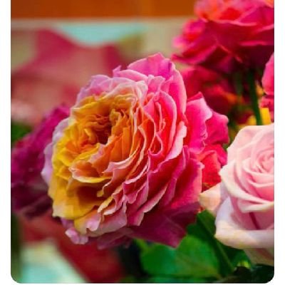 EF76127701's profile picture. 🙏🏻🎚🇺🇸 John 3:7
No DM's 🚫