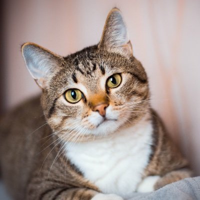 A_Helder16's profile picture. 