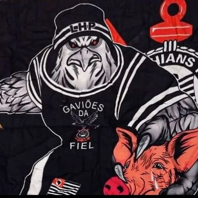 santzsccp's profile picture. 