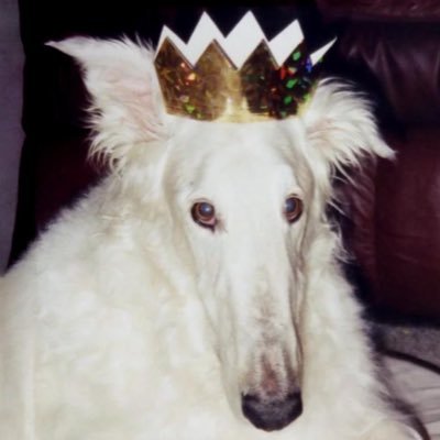 syeinide0's profile picture. meh