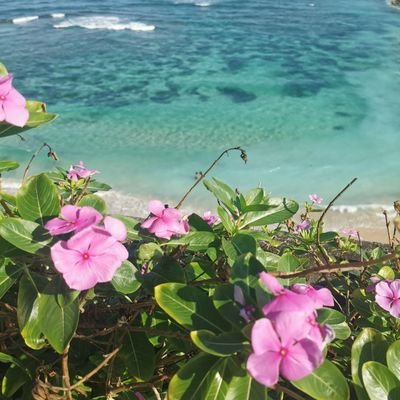 wsKFYWzGUa68511's profile picture. 東京出身&在住。
元々は寿人さんからのサンフレッチェ広島サポでしたが、地元である東京ヴェルディ（特に谷口栄斗選手）を箱推し中です。
jリーグ全般観ています！アビスパの安藤選手、ベルマーレの鈴木章斗選手も推してます！