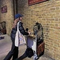 Duhus6449's profile picture. 