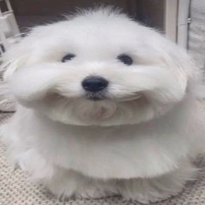 maeimeowforu's profile picture. 18 muahaha | minors dni                                          https://t.co/JQ5bynVFrJ