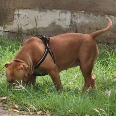 damos62's profile picture. Buscar el verdadero sentido de la vida, cuestionamiento permanente del sí para ser una existencia realmente útil.