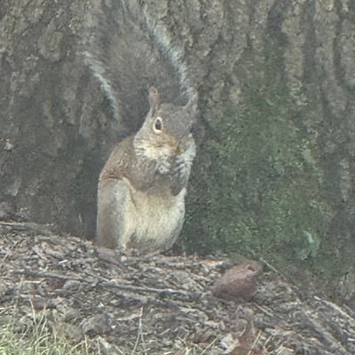 H_ll_wKnight's profile picture. 